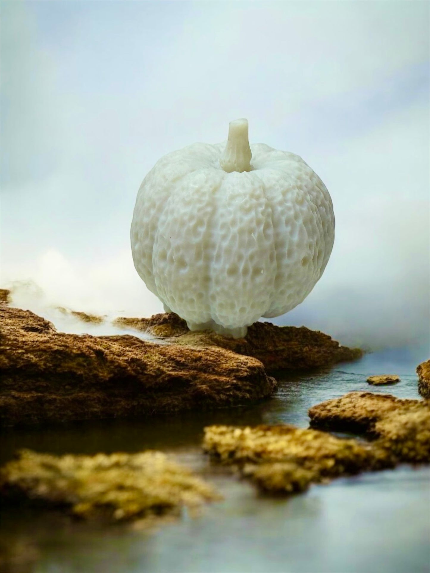 SPOOKY SEASON: 3d HALLOWEEN WAX MELT SHAPE MYSTERY BOX