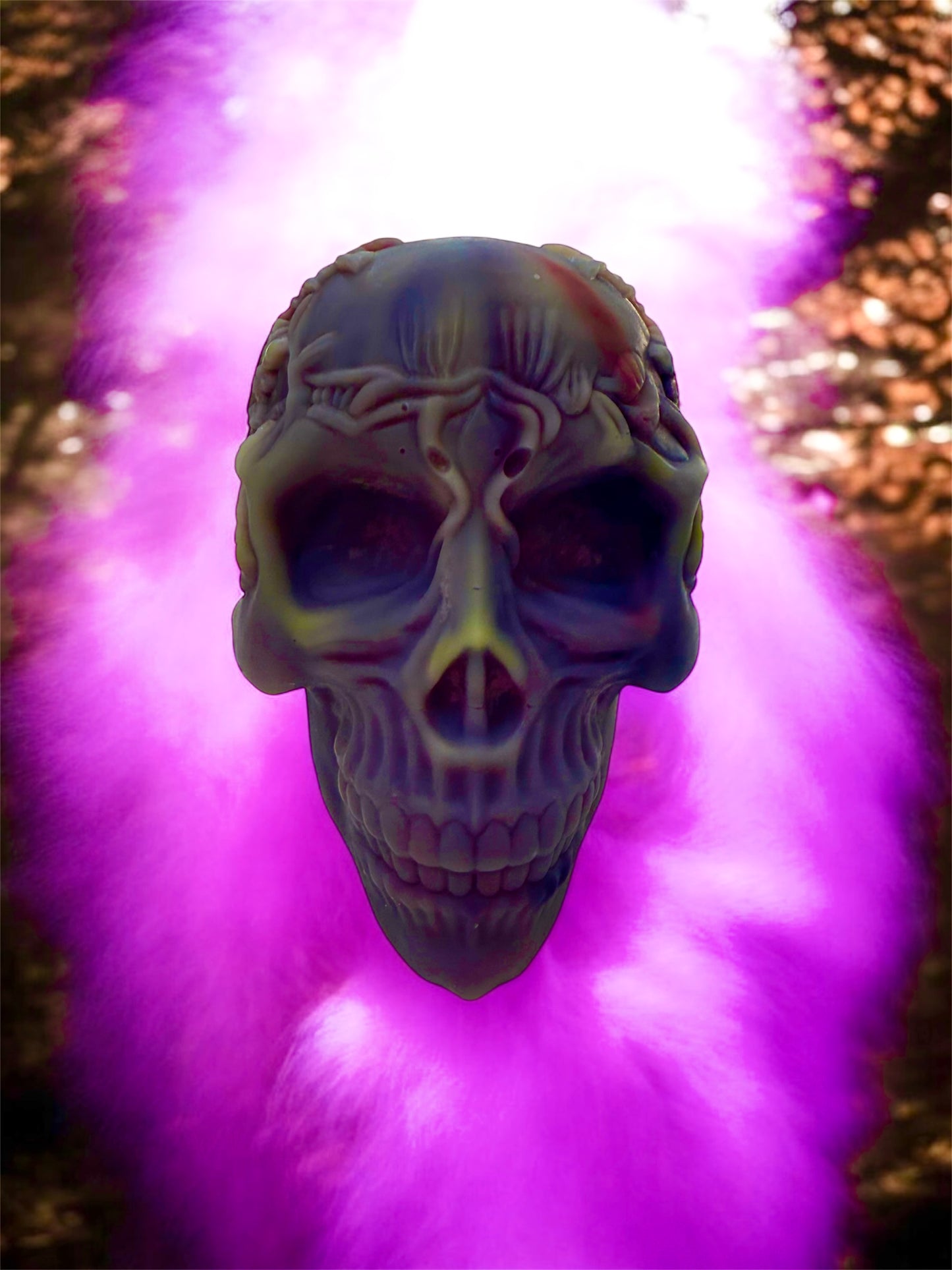 SPOOKY SEASON: XL HALLOWEEN 3d SKULL HEAD