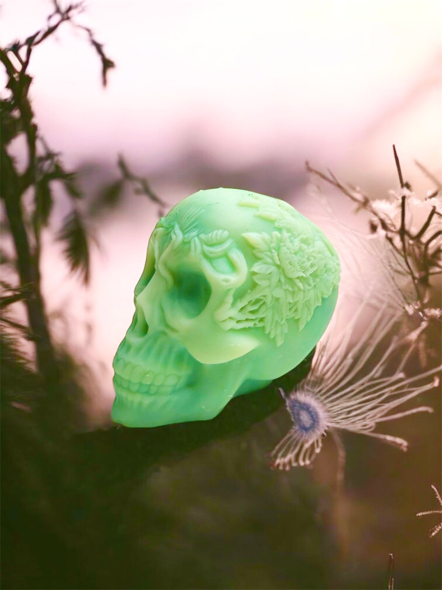 SPOOKY SEASON: XL HALLOWEEN 3d SKULL HEAD