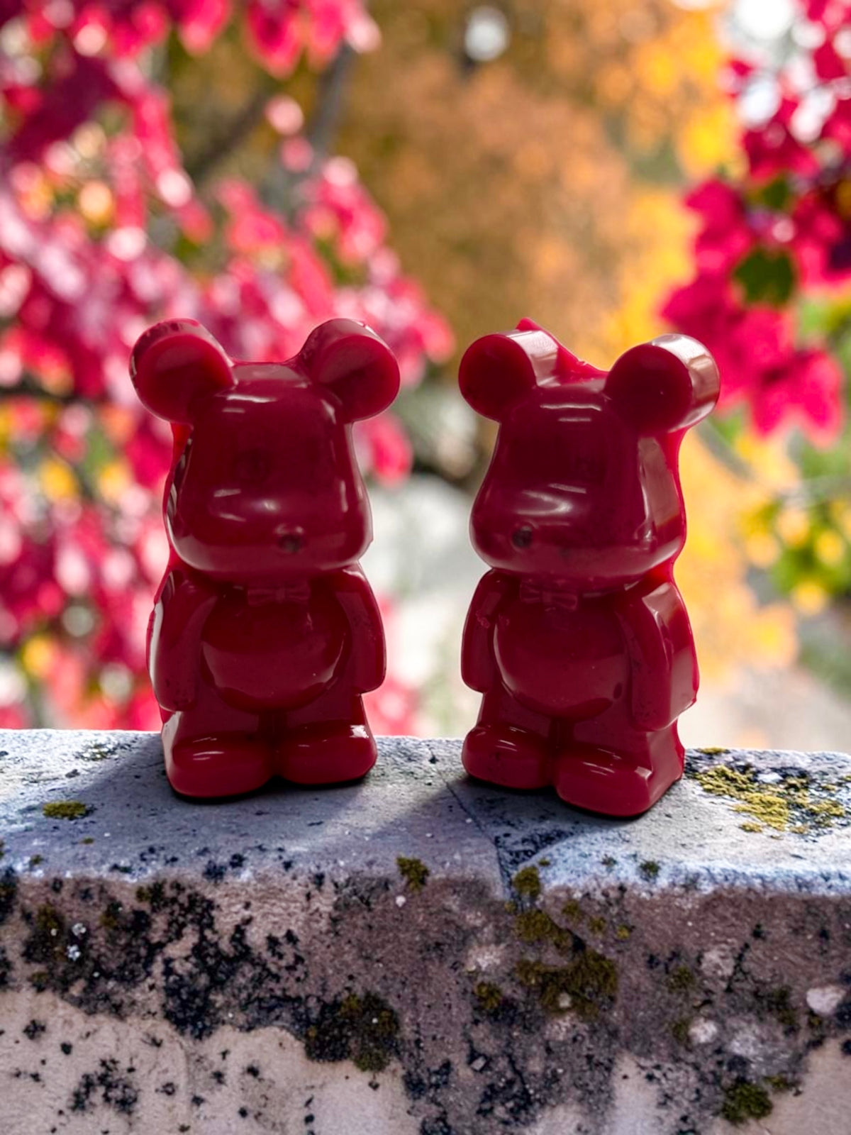 3 or 6 BEAR BUNDLE