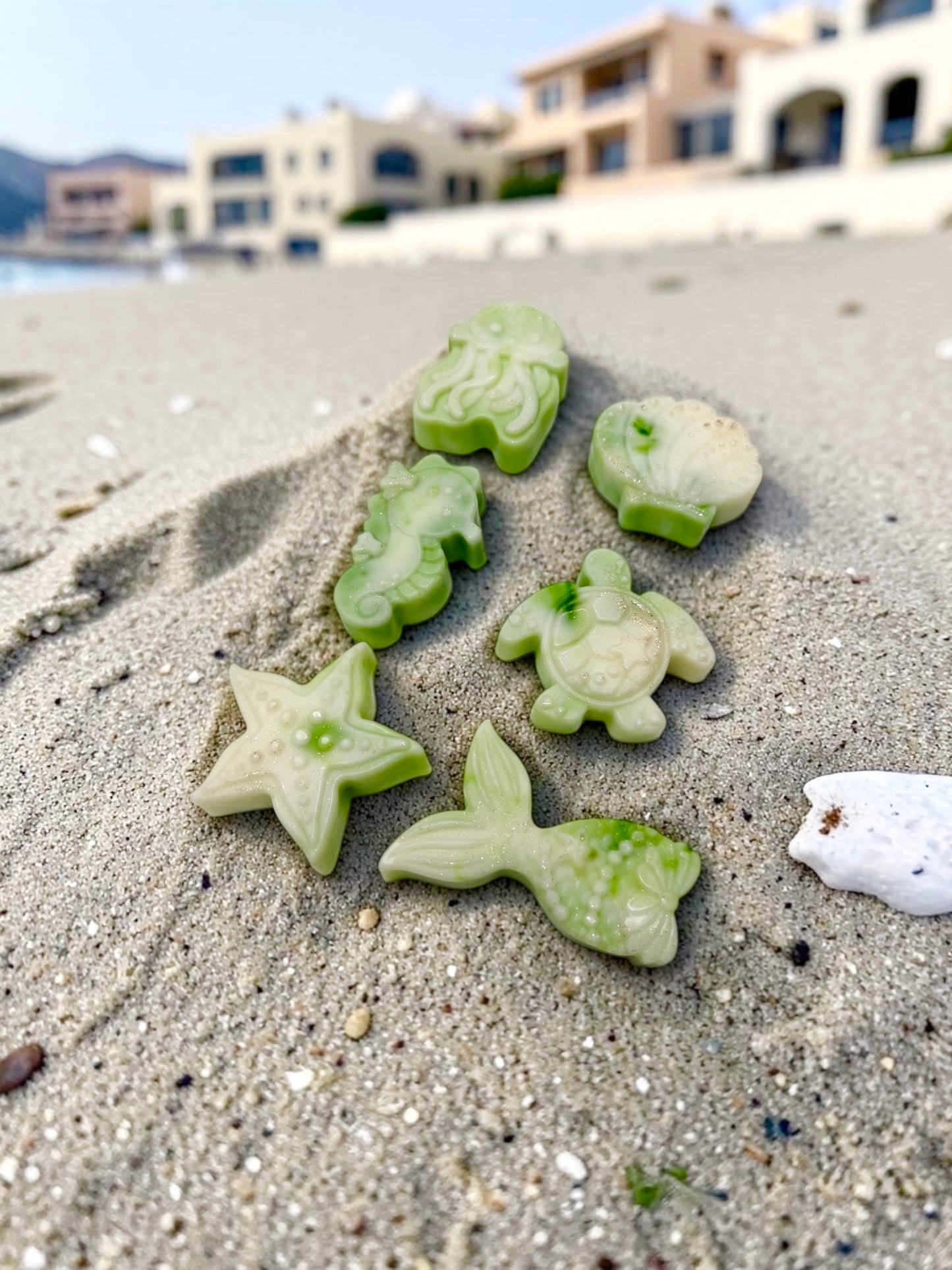SUMMER SEA BEACH SHAPES (6 LARGE WAX MELTS)