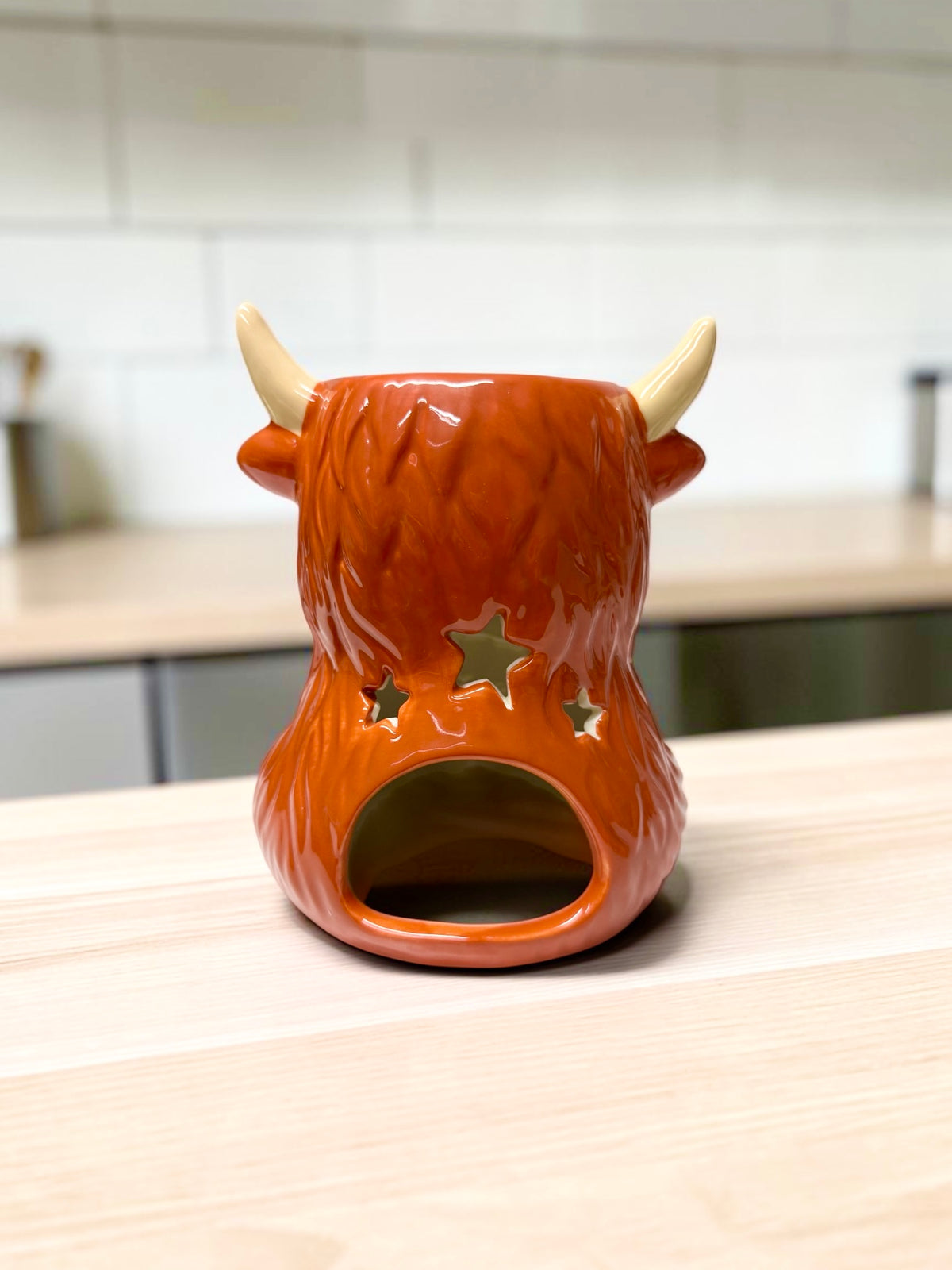 WAX MELT BURNER & 8 UNSCENTED TEALIGHTS