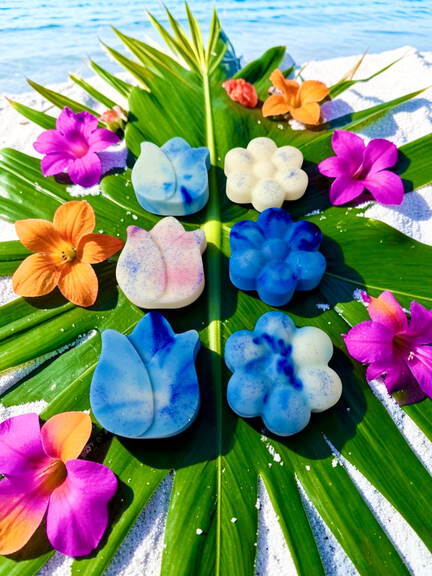 XL SPANISH SUMMER SHAPES