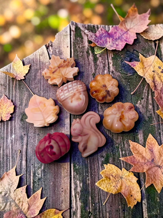 AUTUMN: 3d WAX MELT SHAPE BUNDLES