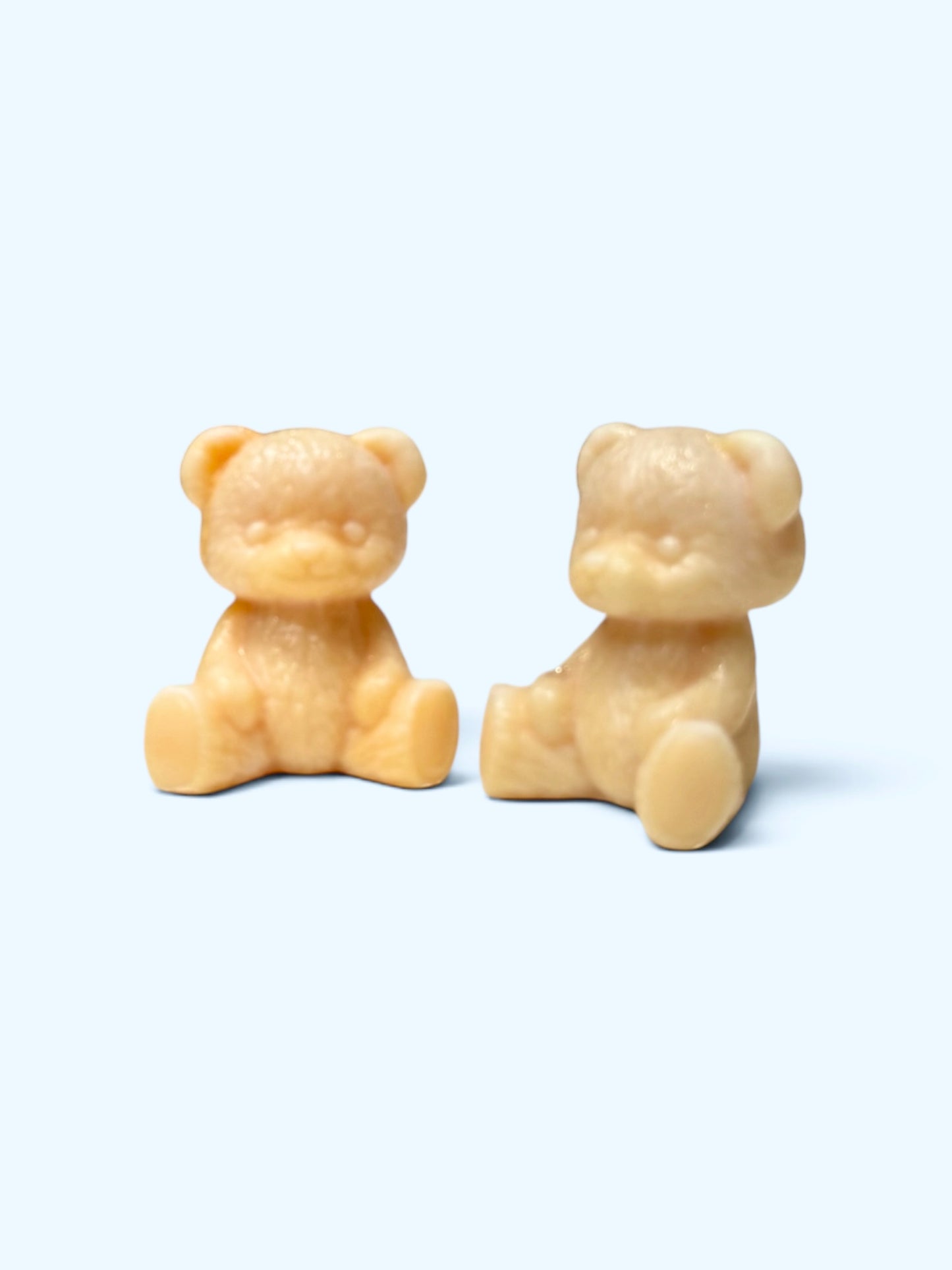 INDIVIDUAL BEAR WAX MELT