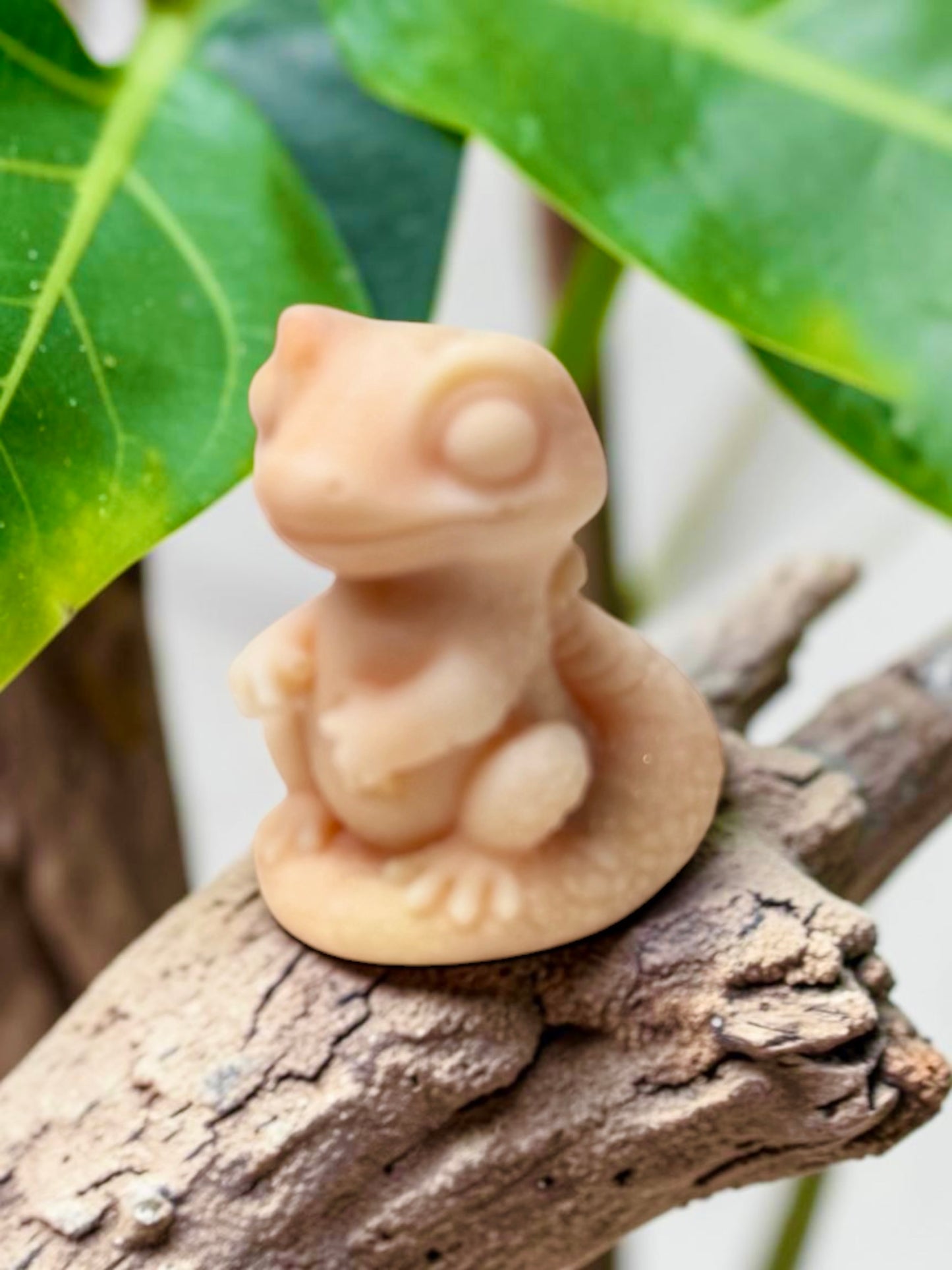 GECKO WAX MELT