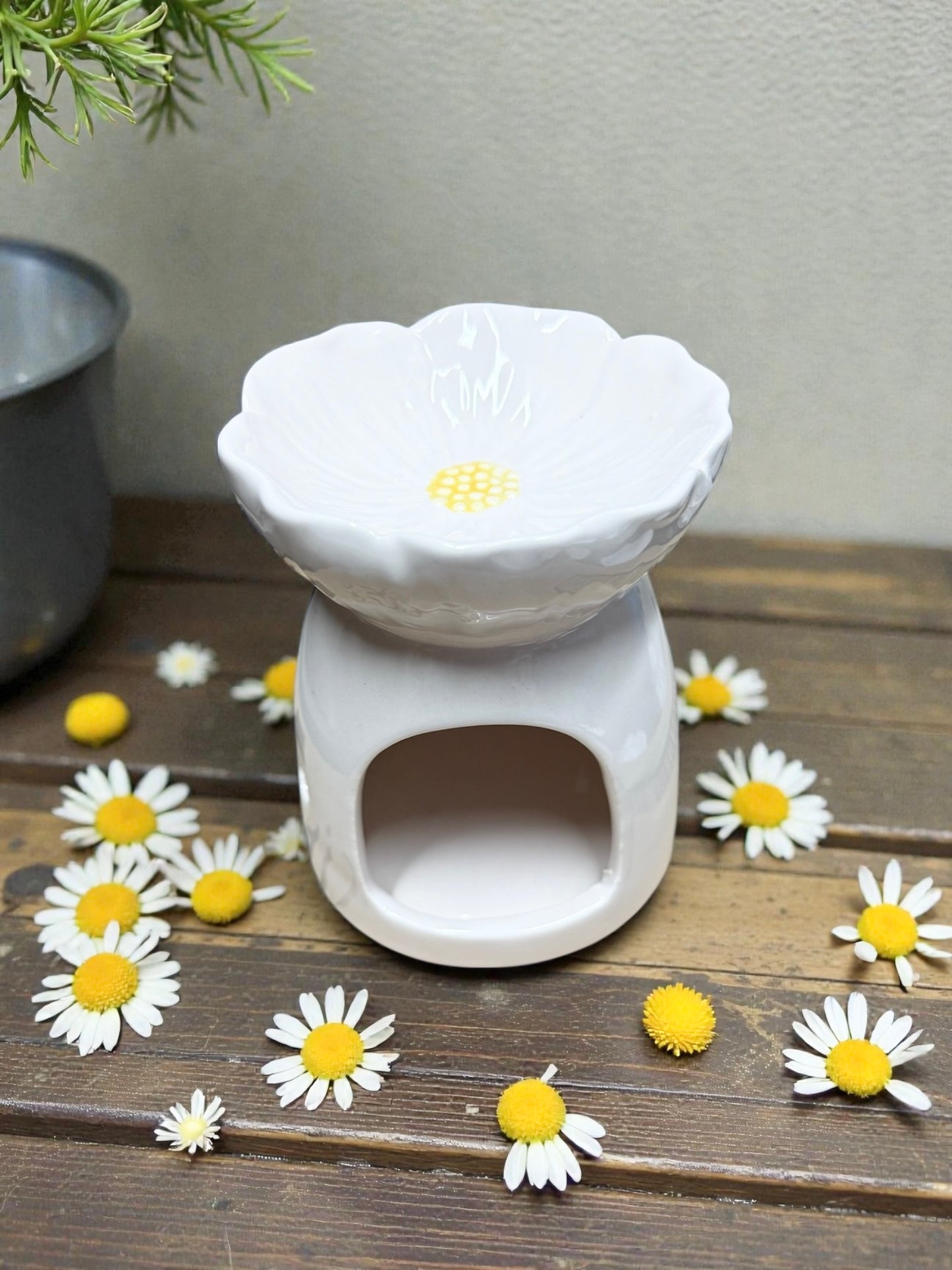 WAX MELT BURNER & 8 UNSCENTED TEALIGHTS